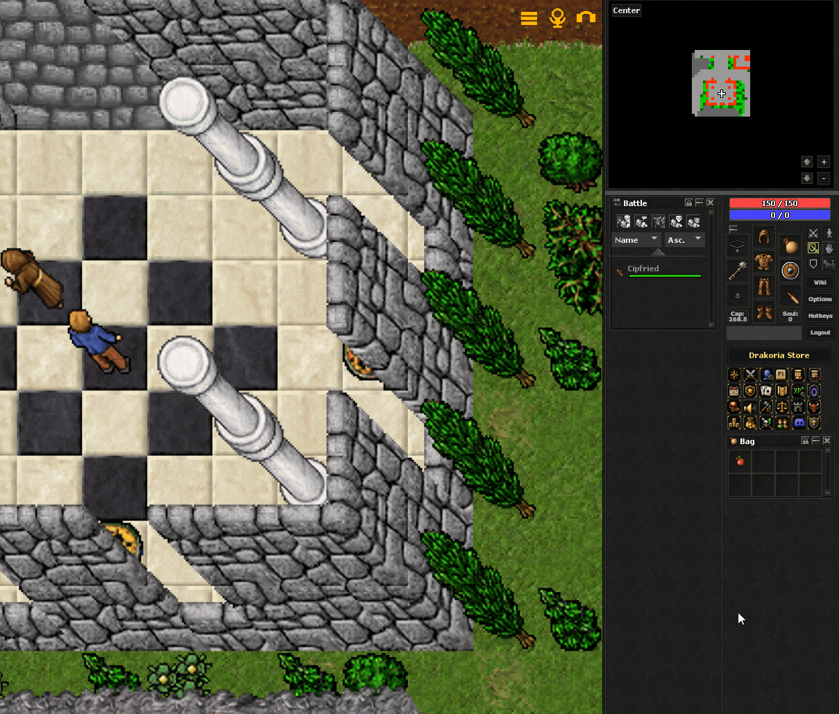 2D Minimap